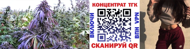 купить наркоту  Ясногорск  ТГК вейп с тгк 