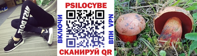 Псилоцибиновые грибы мухоморы Ясногорск